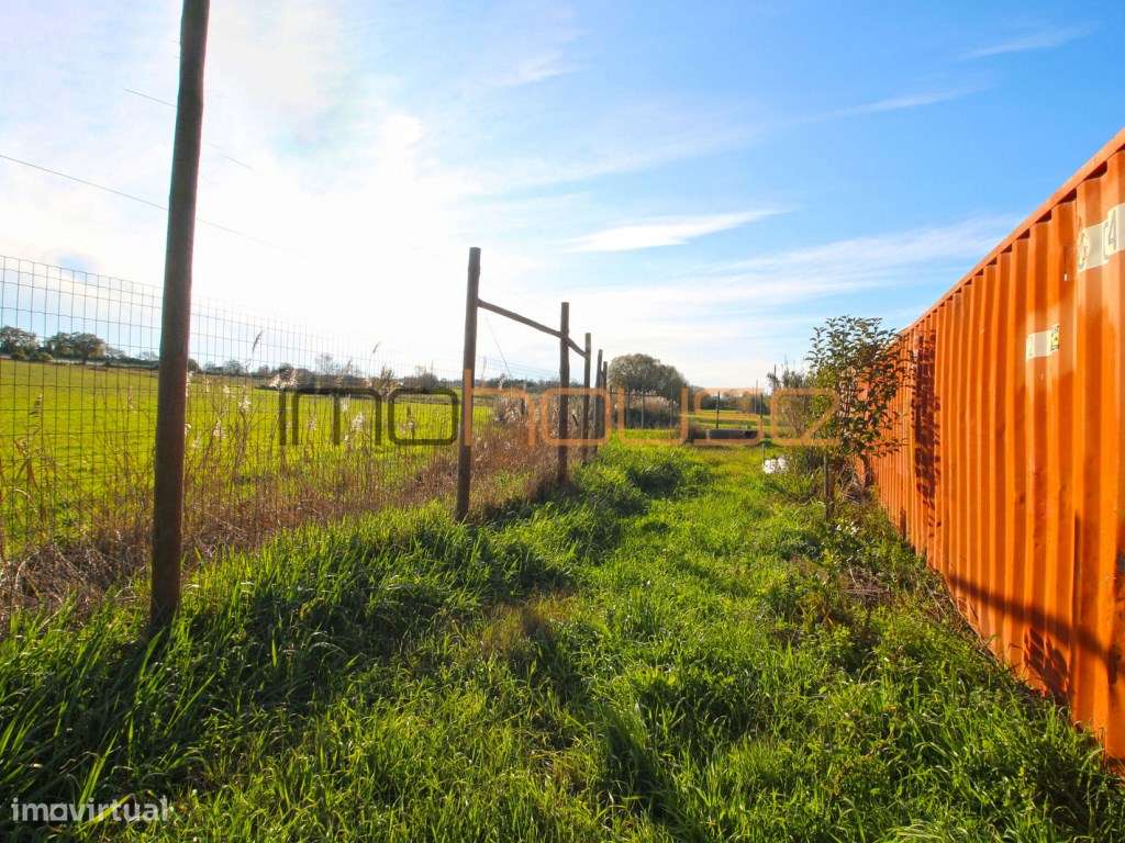 Quinta de 3,24ha - A 5min. Montemor-o-Velho-6