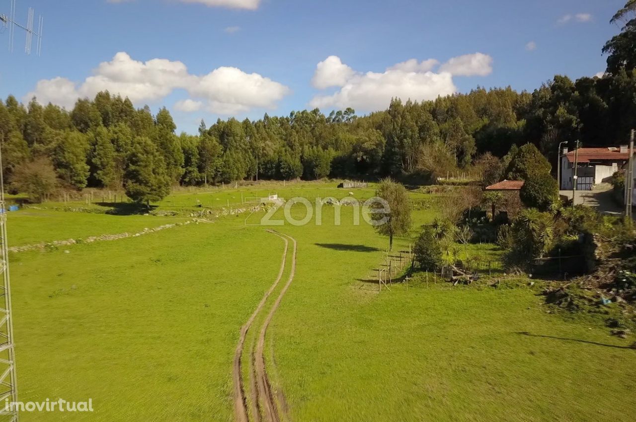 1,5ha vistas mar, Sul poente, poço mina de água, Negrelos Canelas G...