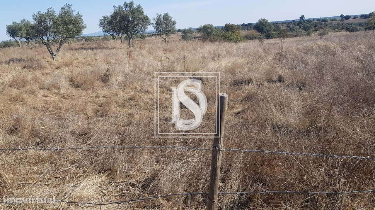 Terreno Não definido em UDF de Arez e Amieira do Tejo - Grande imagem: 3/9