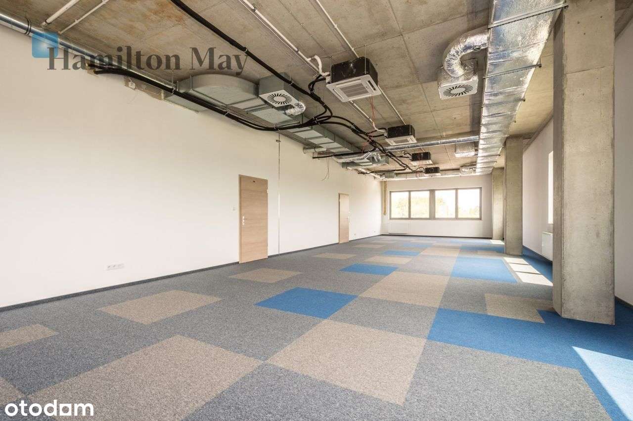 Lokal biurowy - Rybitwy - Pełny obrazek: 5/20