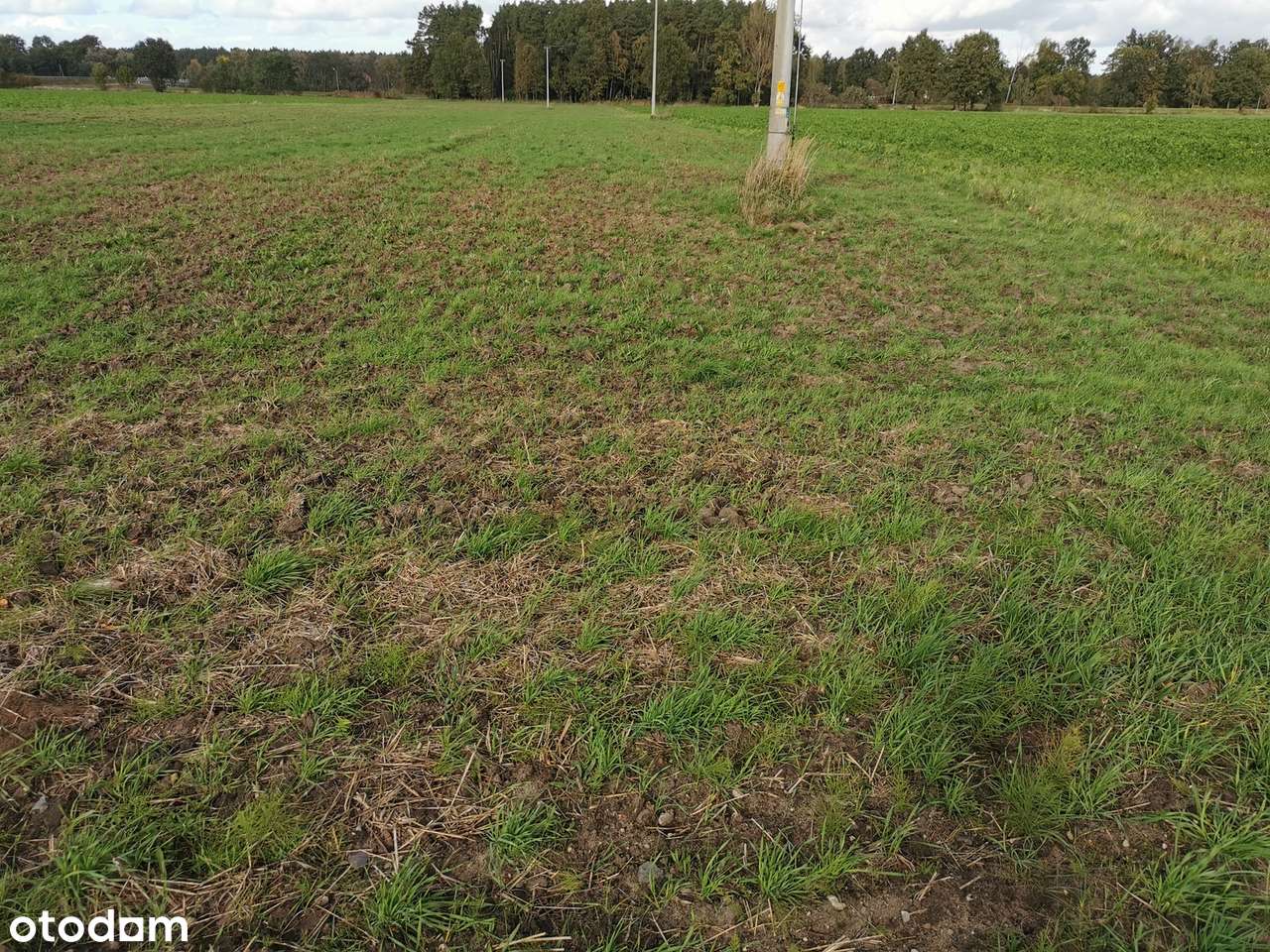 Działka rolna 2070 m2 w Krasiejowie - Pełny obrazek: 5/5