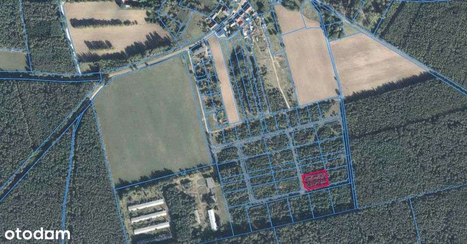 29 działek budowlanych w Puszczy Zielonce - Pełny obrazek: 5/9