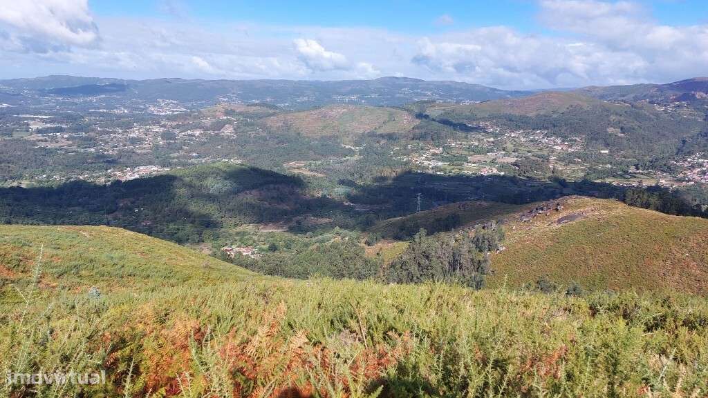 Bouça - Sequeiros - Grande imagem: 4/13