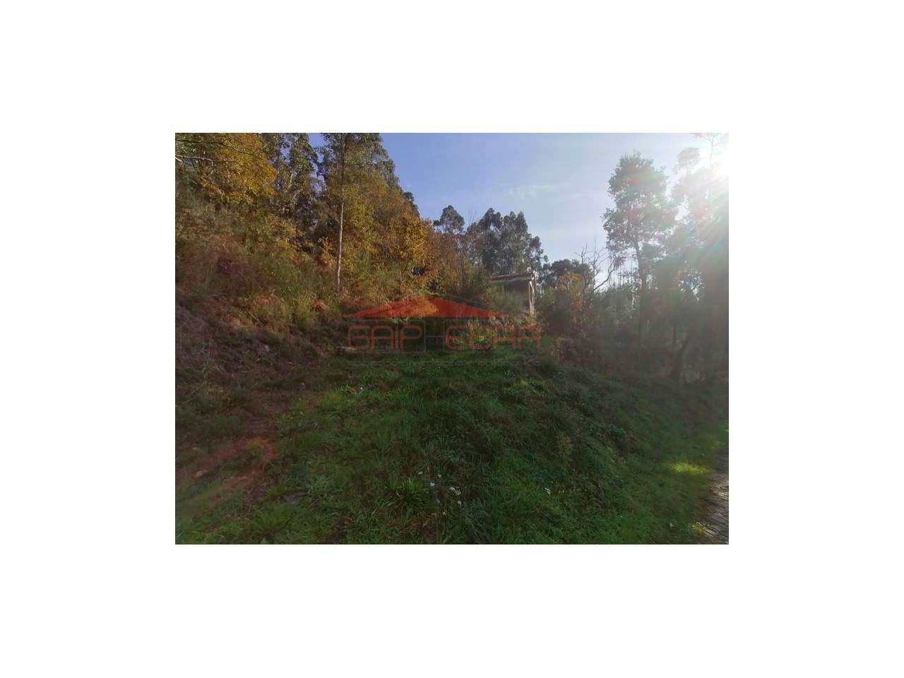 Terreno com benfeitoria Penhalonga Marco Canaveses-0