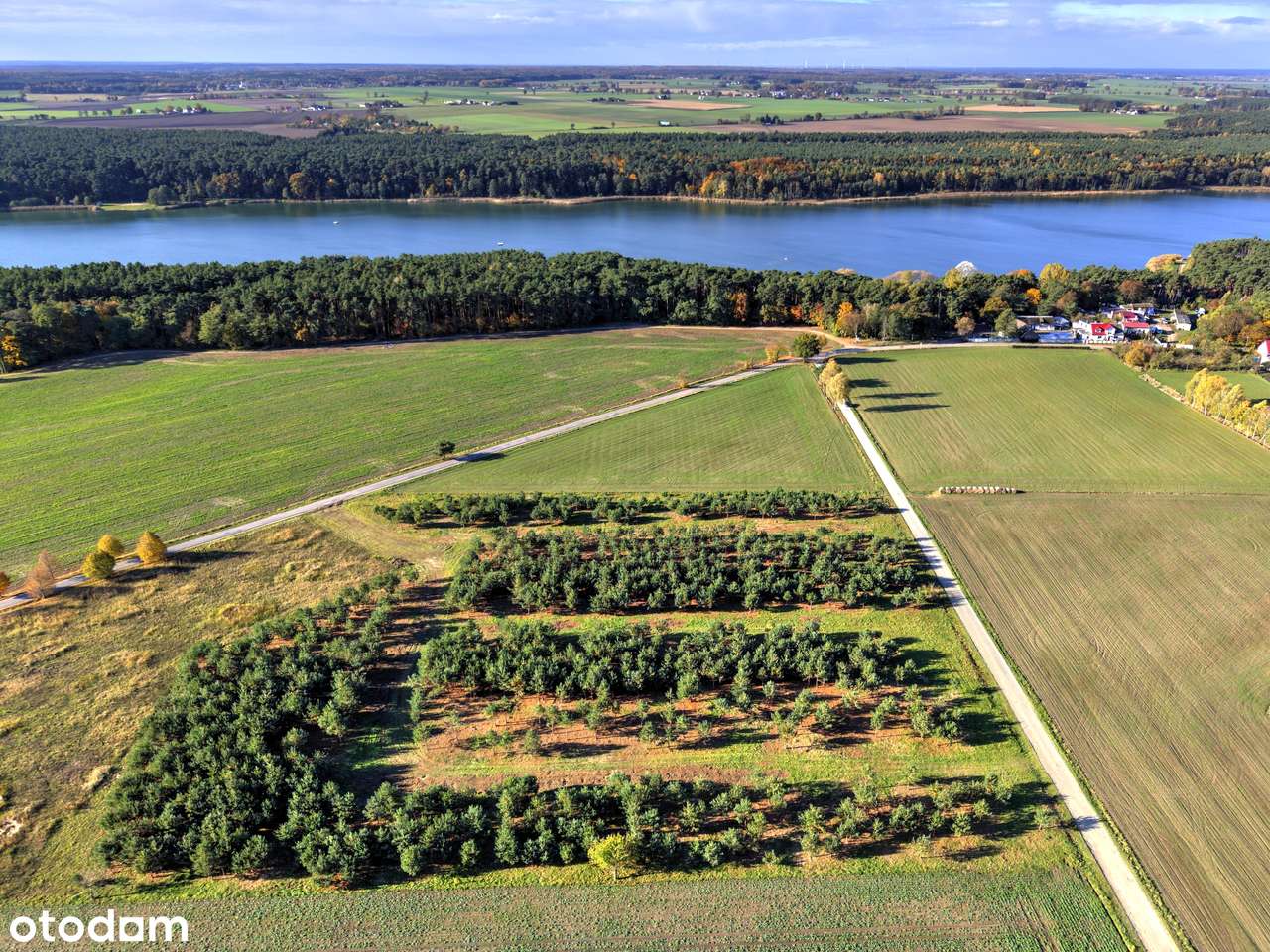 Atrakcyjna działka pod dom - Grzybowo-14