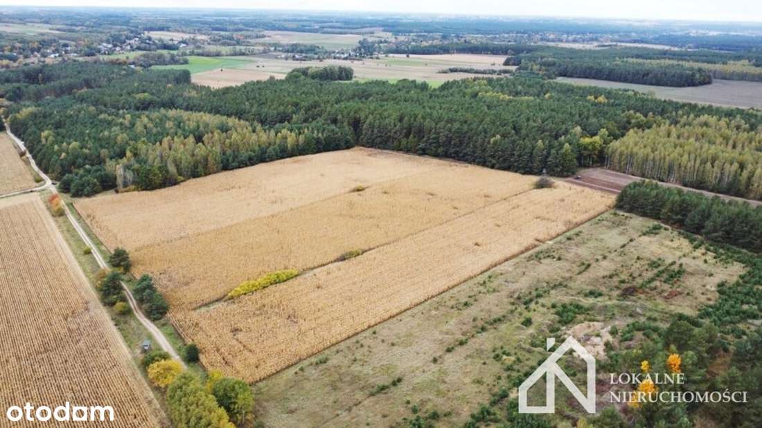 Grunty rolne - ponad 1,4 ha w miejscowości Ruda na sprzedaż! - Pełny obrazek: 4/6