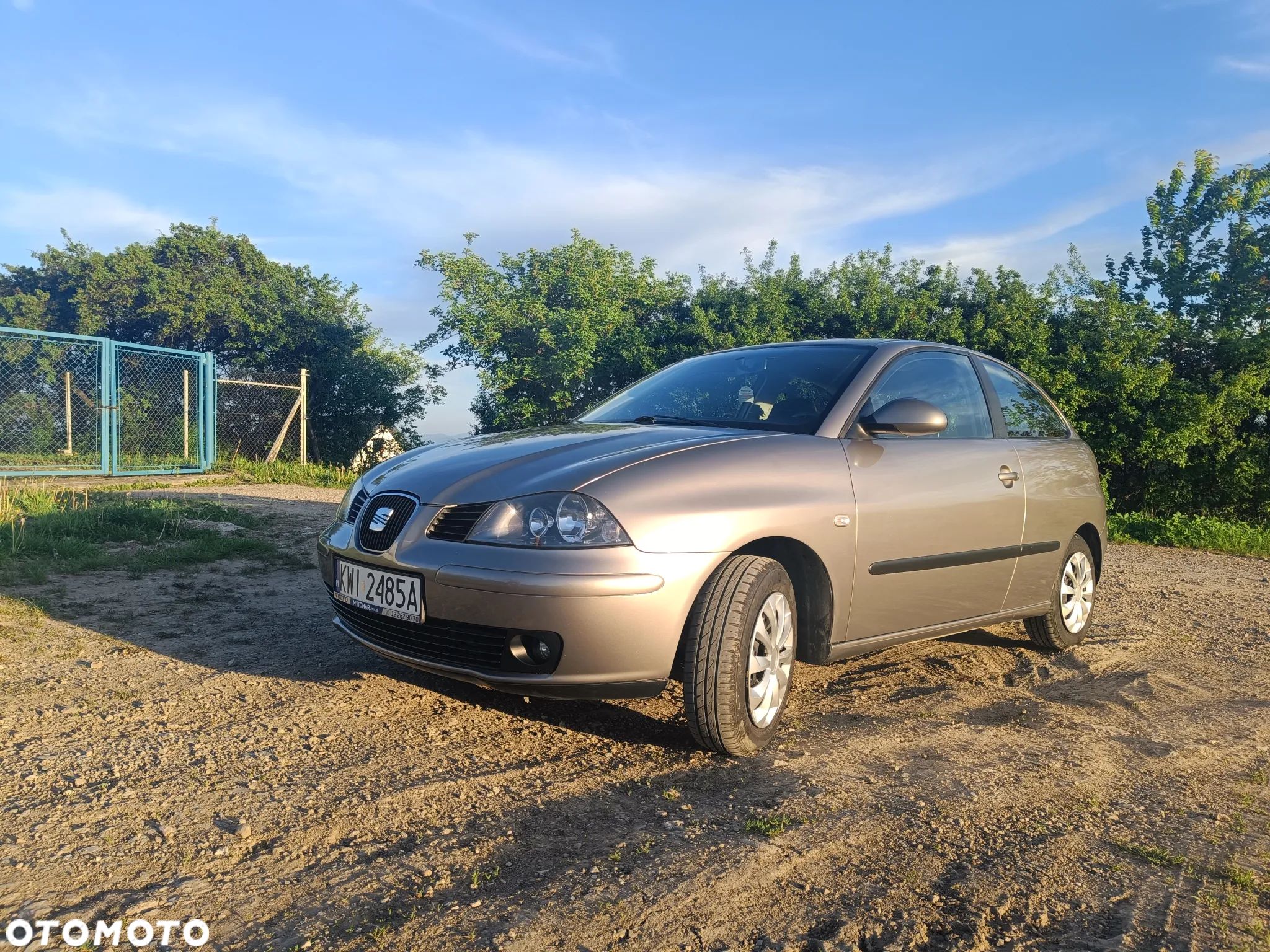 Seat Ibiza - 1