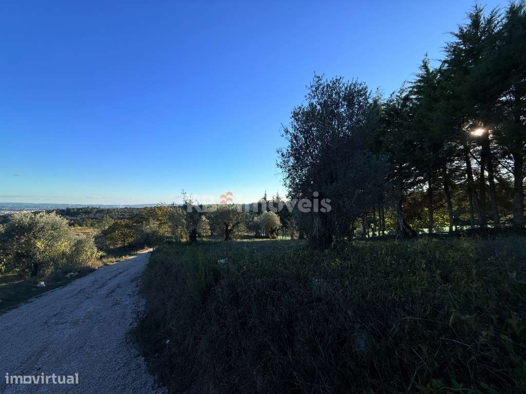 Terreno para construção - Casal da Estrada, Tomar - Grande imagem: 4/12
