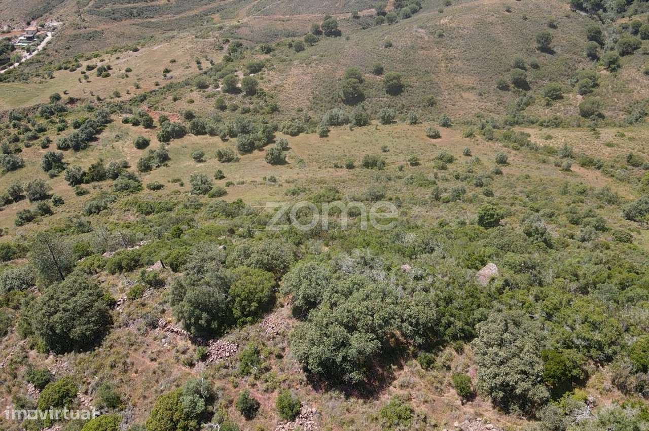 Terreno rústico c/poço em Gralheira com 21.760m2, Messines - Grande imagem: 5/13