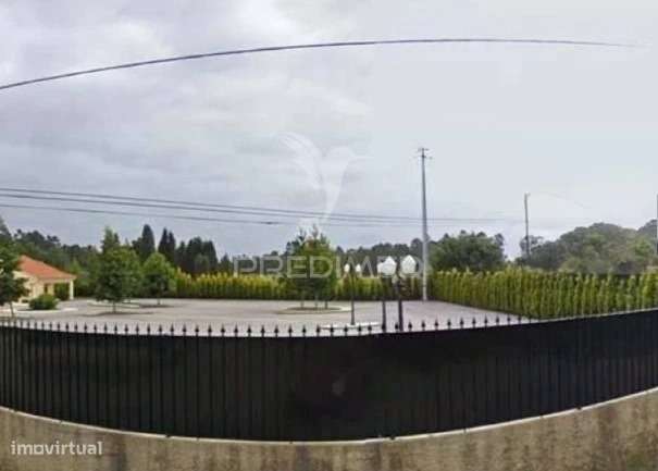 Terreno Rústico - Grande imagem: 4/4