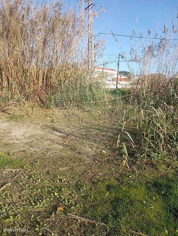 Terreno  para venda - Grande imagem: 4/5