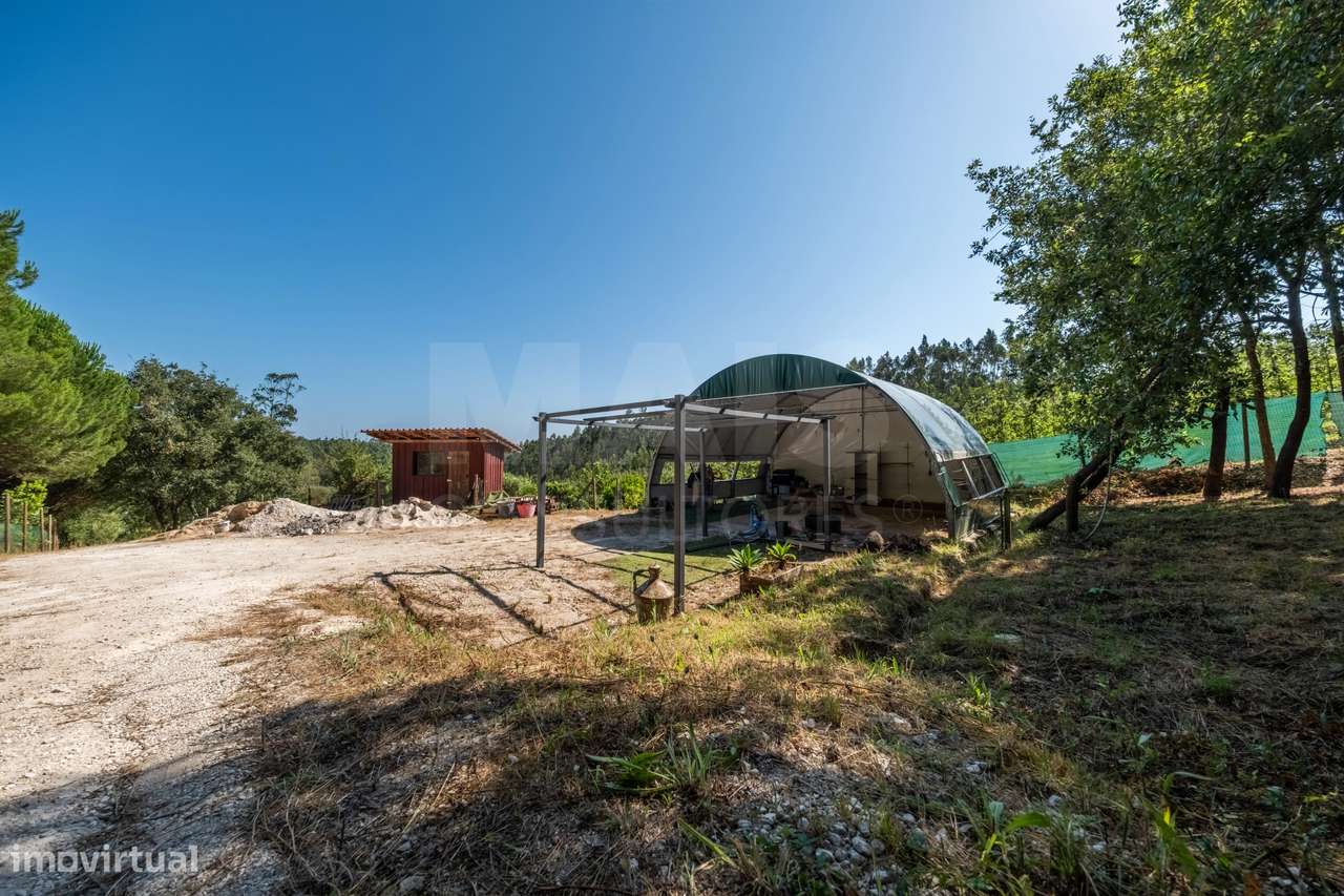 Terreno Agrícola na Fanadia | 16.100 m² de Potencial e Infraestrutu...-4