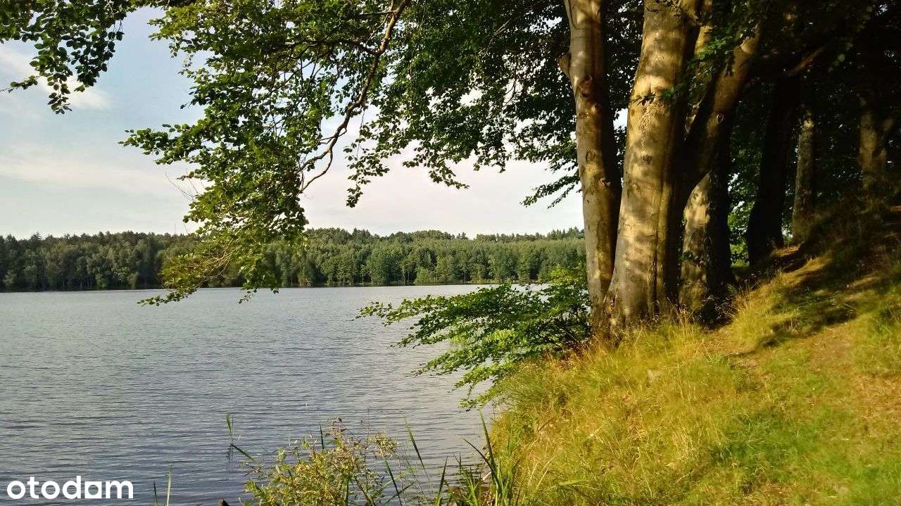 Działka nad jeziorem, Rekowo koszalińskie, okazja! - Pełny obrazek: 5/19