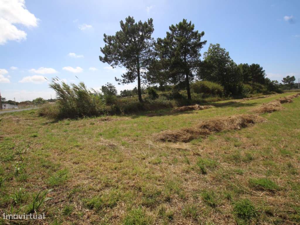 Terreno com 16947m2 - Grande imagem: 5/5