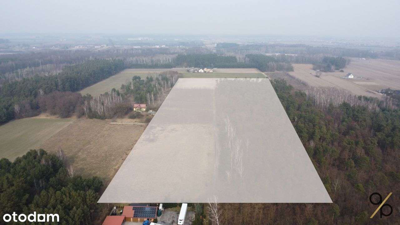 Działki budowlano-leśne w Janowie-Ruszkach - Pełny obrazek: 4/6