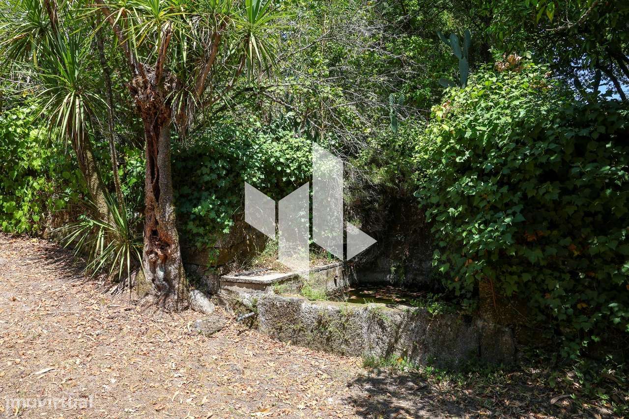 Quinta T6+3 Venda em Castelões,Tondela-28