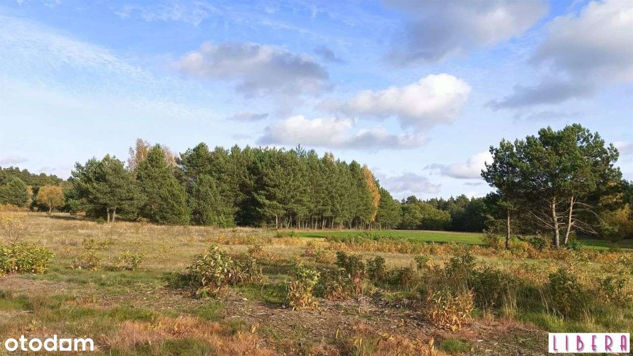 Tylko u nas! Działka, Godzimierz-7