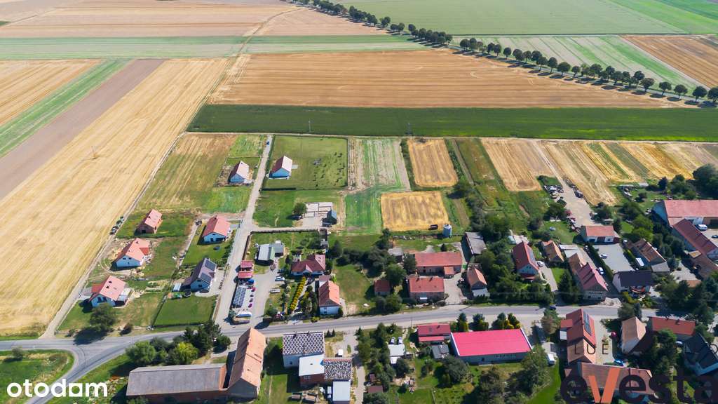 Atrakcyjna działka budowlana w Gościsławiu 1200m² - Pełny obrazek: 4/10