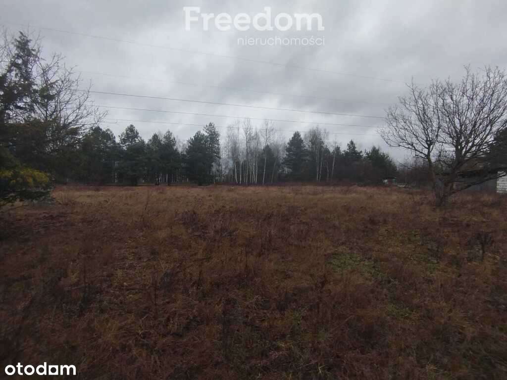 Grunt inwestycyjny w Sulejówku ! 1Ha budowlany - Pełny obrazek: 4/6