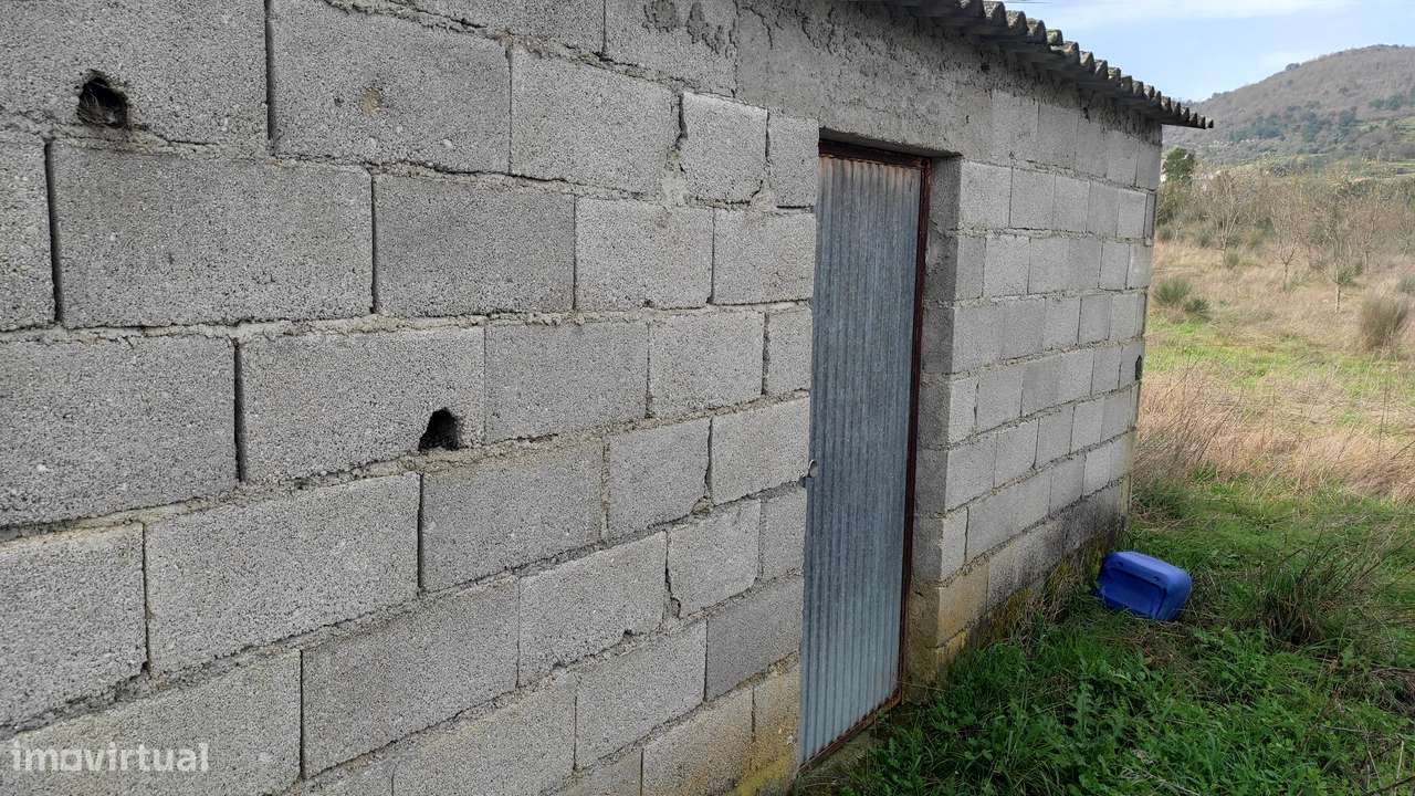 Oportunidade Exclusiva: Quinta com Alto Potencial de Valorização-13