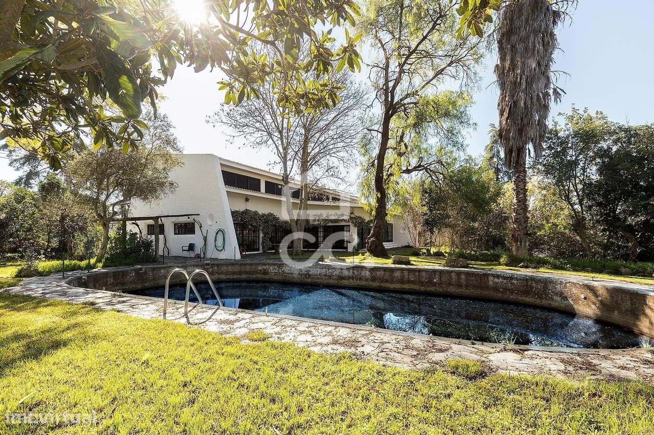 Deslumbrante Quinta c/ duas moradias e piscina | Moura - Grande imagem: 2/60