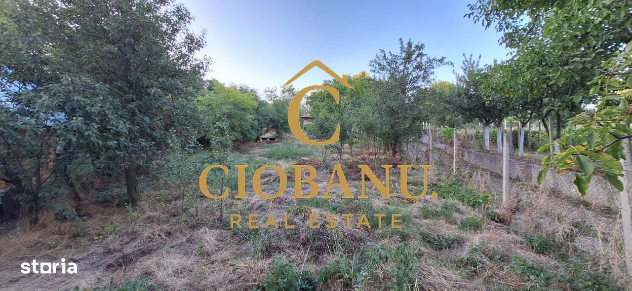 Teren cu casa batraneasca de vanzare in comuna Jugureni judet Prahova-13