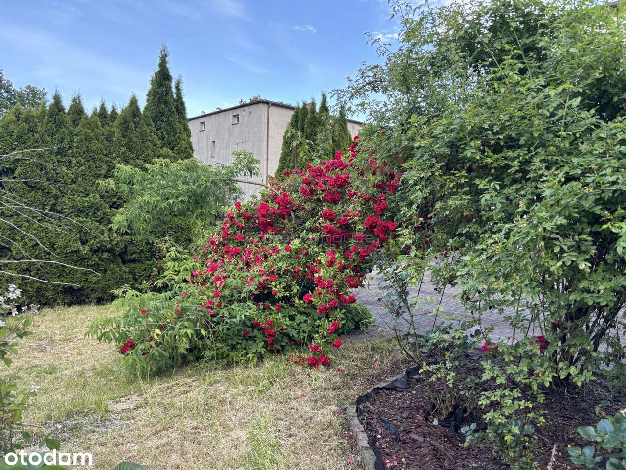 Dom na sprzedaż, Lubawa1 - Pełny obrazek: 4/10