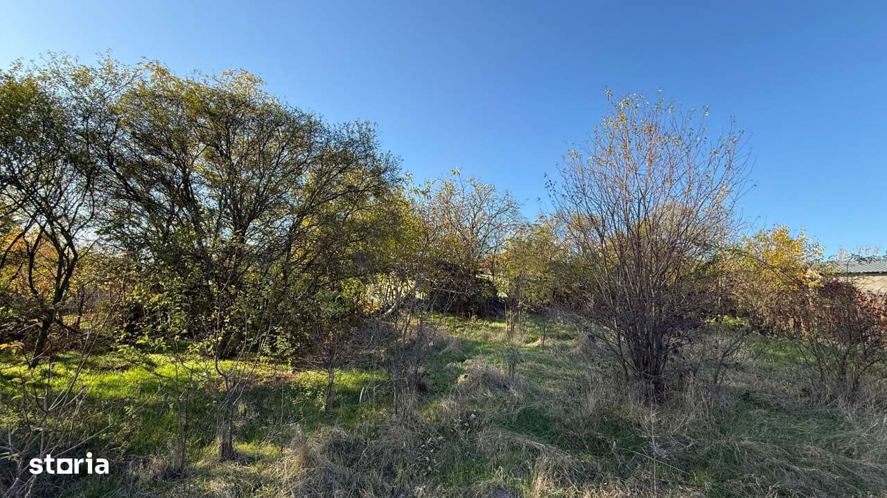 Teren I De Vanzare I Snagov - Imagine principală: 5/5