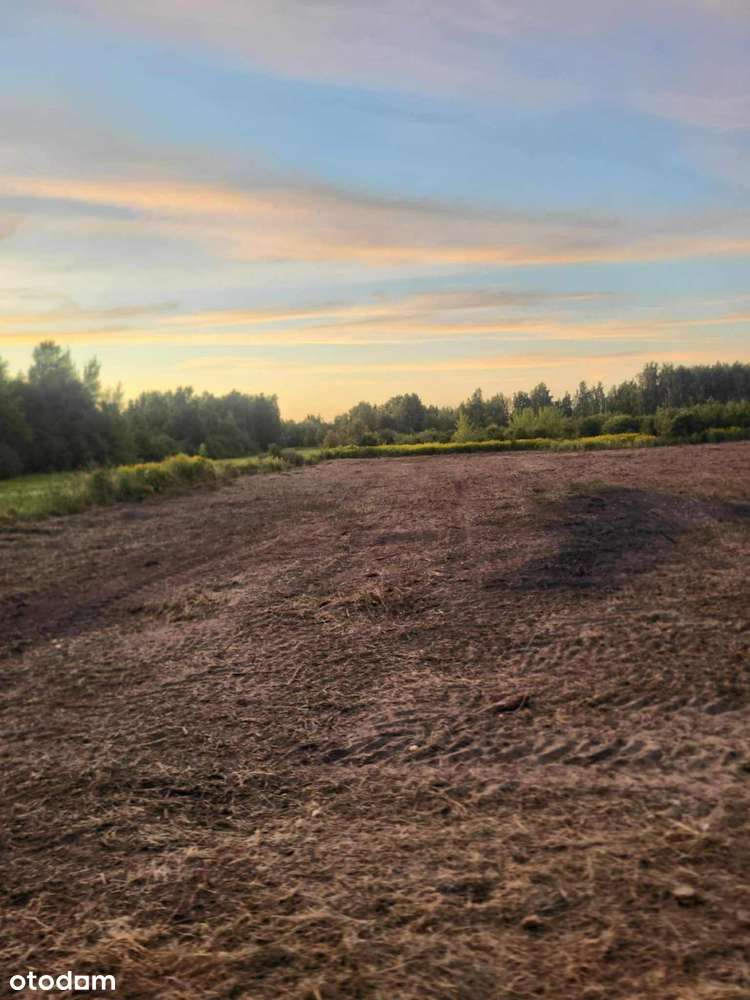 Działka budowlana 2997 m² w cichej okolicy - Pełny obrazek: 3/4