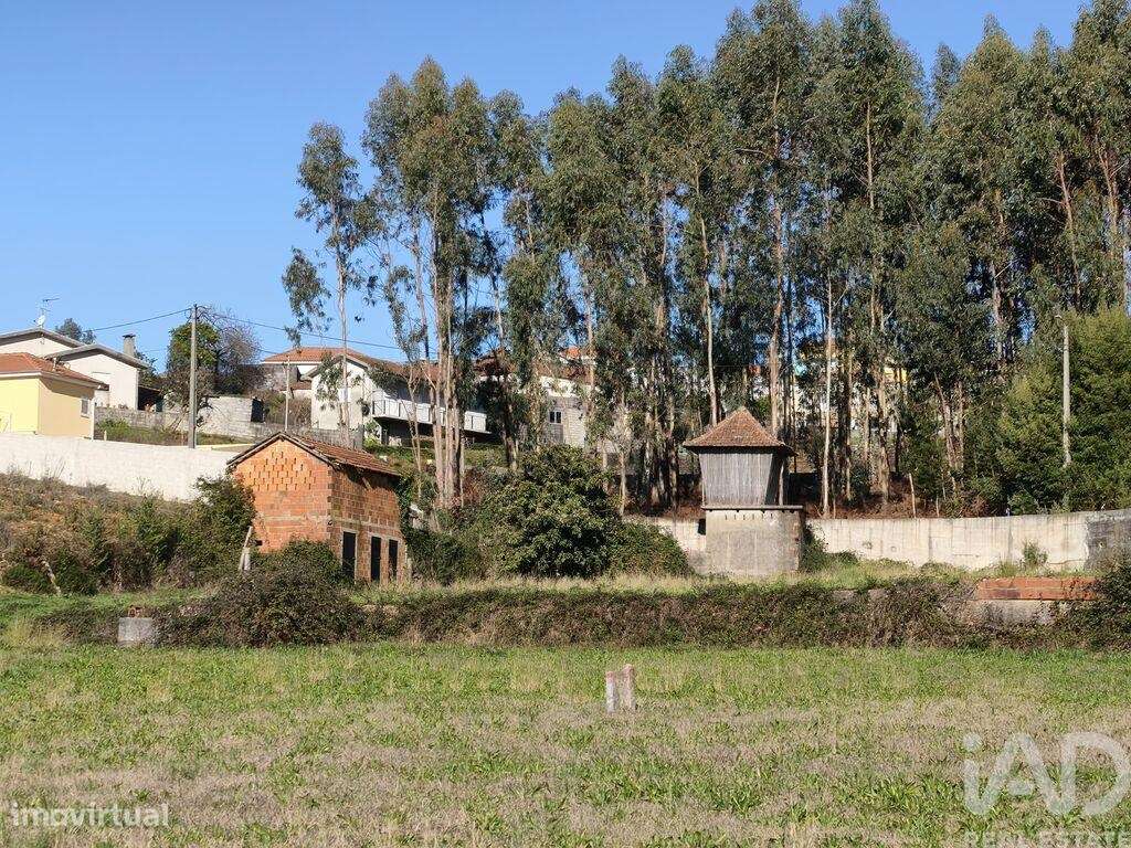 Terreno em Canedo, Vale e Vila Maior de 2893,00 m2 - Grande imagem: 5/17