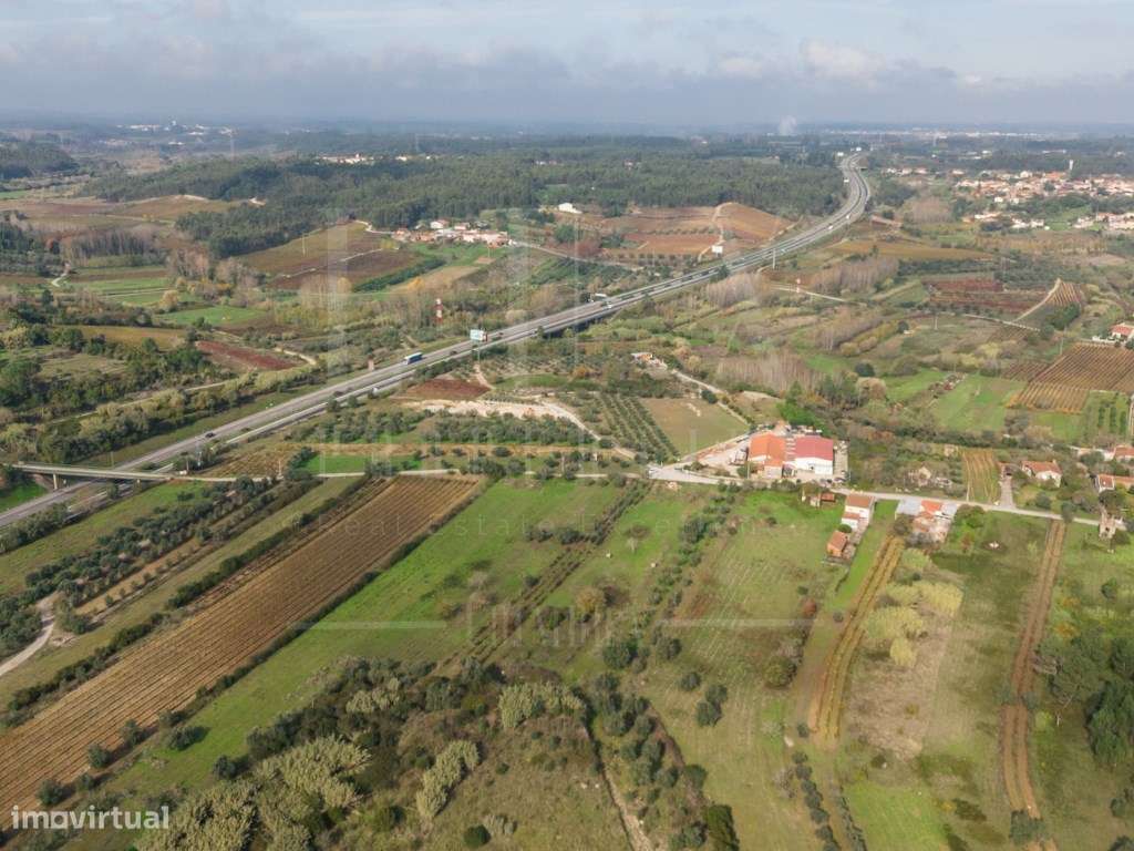 Terreno | Ventosa do Bairro, Mealhada-10