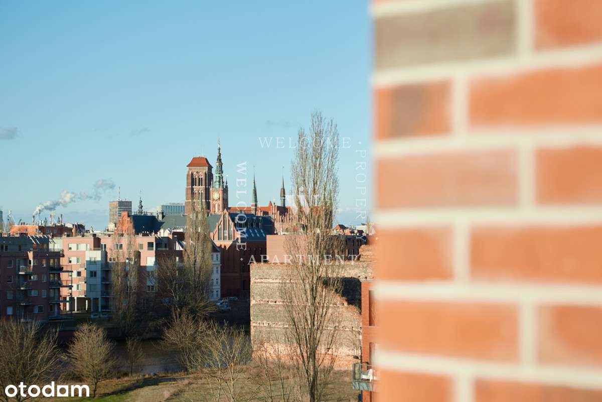 Toruńska | Styl, funkcja, lokalizacja. - Pełny obrazek: 5/16