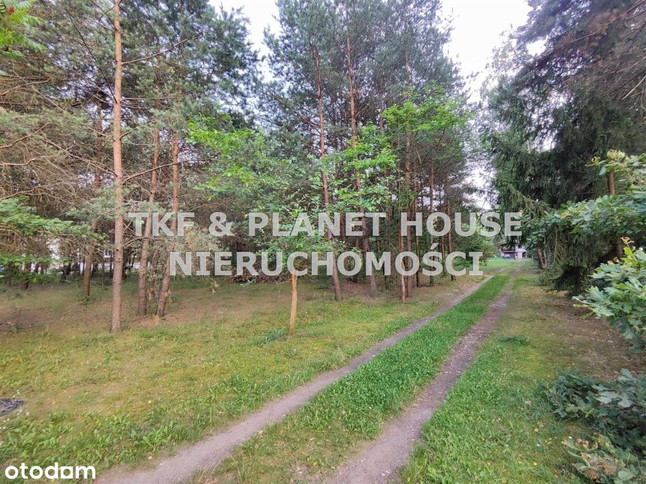 Działki pod budowę domów- Inowłódz - Pełny obrazek: 2/7