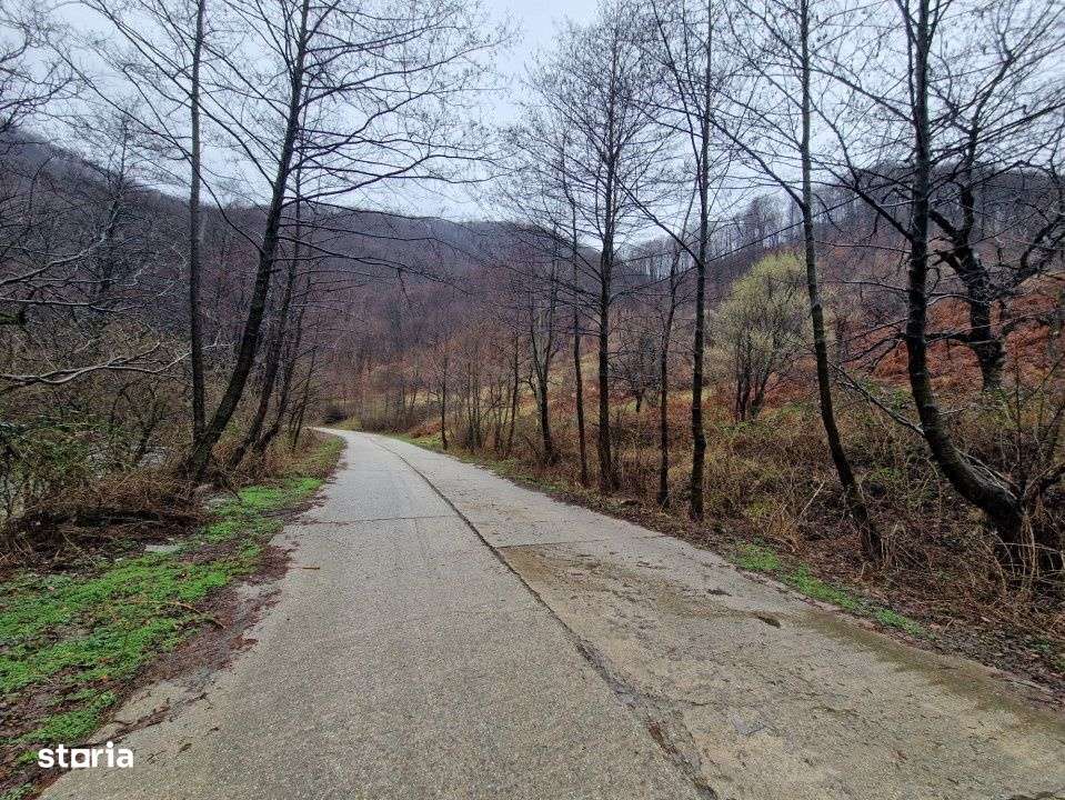 Vanzare teren in com. Pestisani, sat Gureni - zona de munte - Imagine principală: 3/4