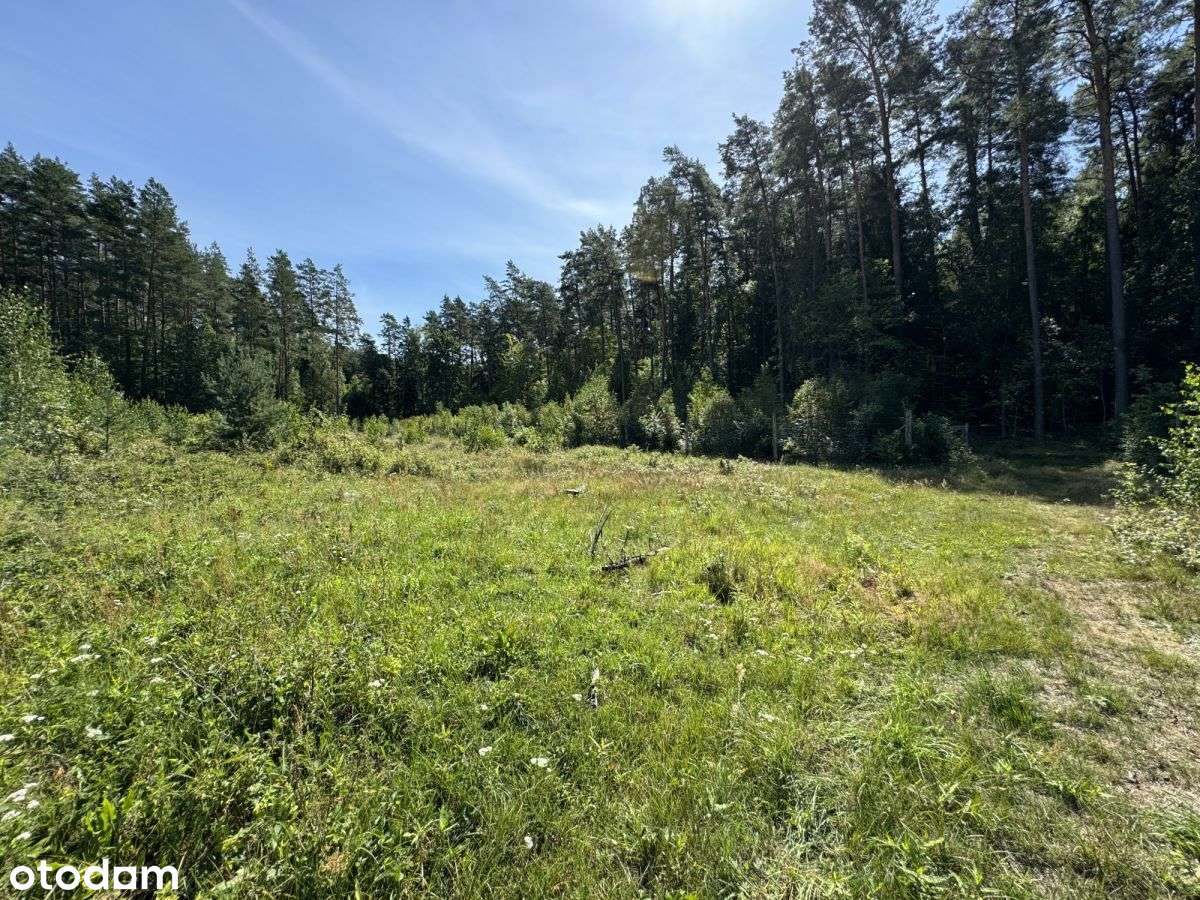 Klimatyczna duża działka blisko jeziora i lasu-14