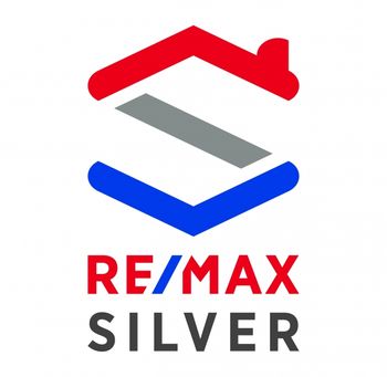 Remax Silver Logotipo