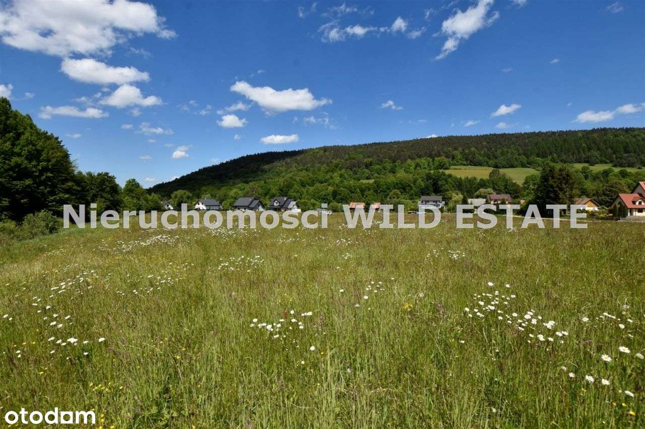 Działka, 52 850 m², Paszowa - Pełny obrazek: 4/10