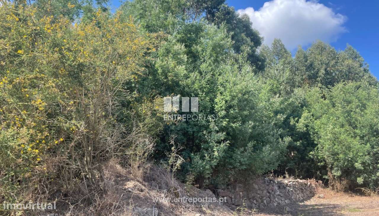 Venda de Terreno com 1425m², Barroselas, Viana do Castelo - Grande imagem: 2/24