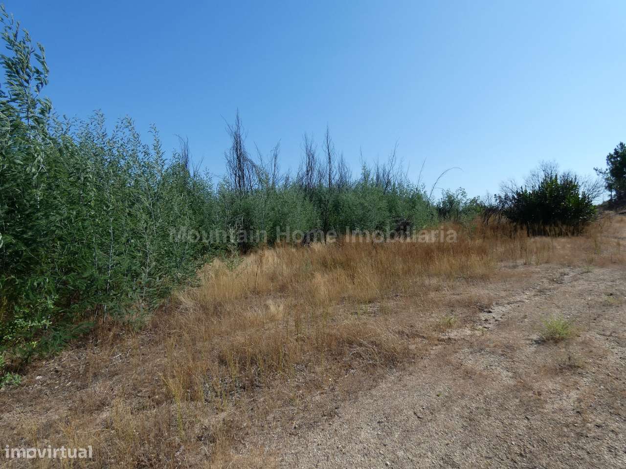 Terreno  Venda em Vila Nova de Tazem,Gouveia - Grande imagem: 4/7