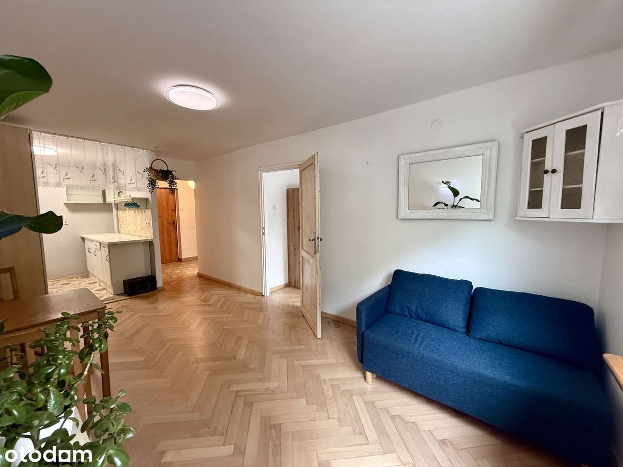2 pokoje w centrum Wrocławia | wysoki parter | Pereca-1