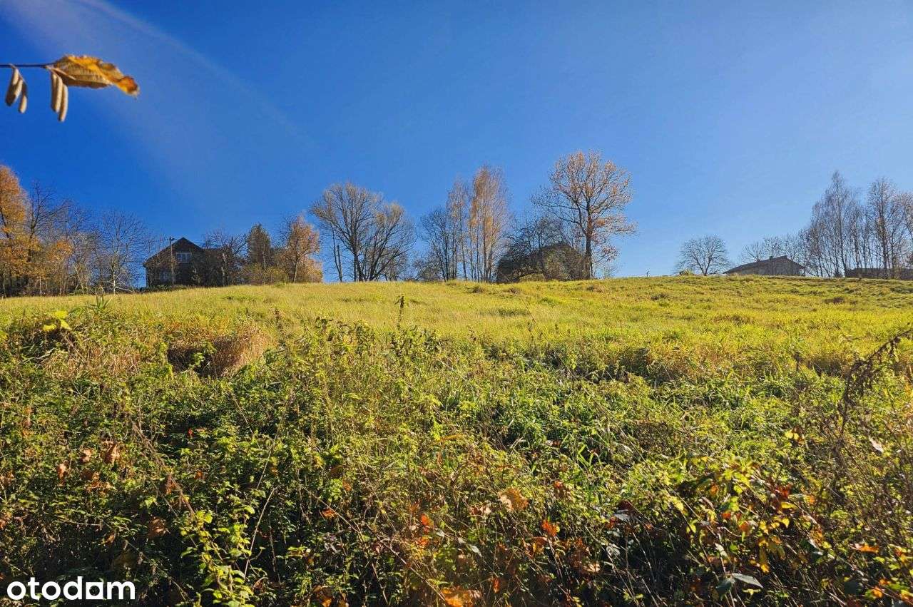 Malownicza działka budowlano-rolna w zacisznym mie - Pełny obrazek: 1/9