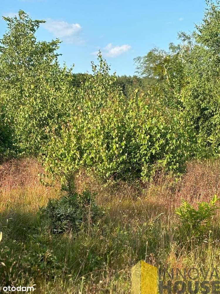 Działka 2176m, Gardna Wielka, jezioro Gardna - Pełny obrazek: 5/13