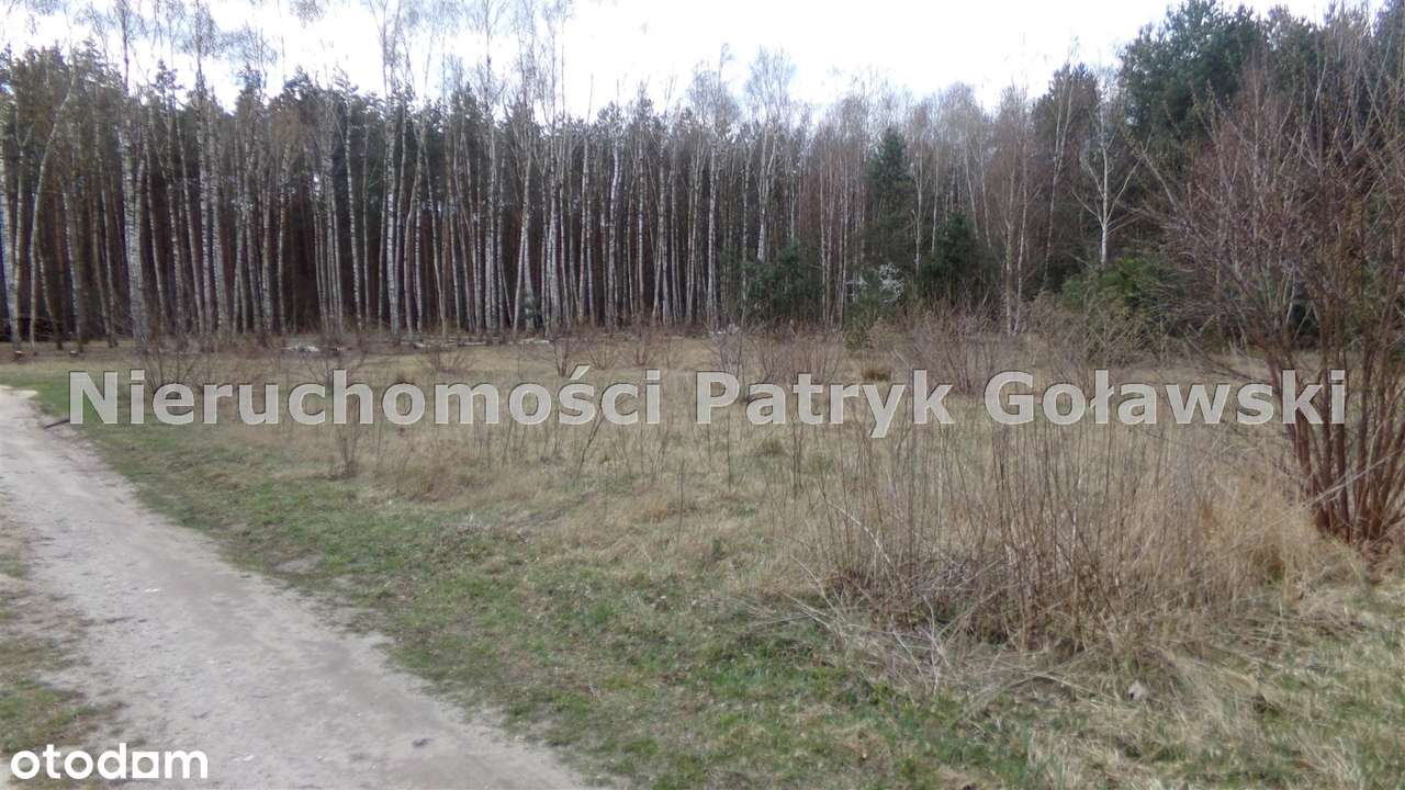 Działka na sprzedaż, Nieborów - Pełny obrazek: 4/7