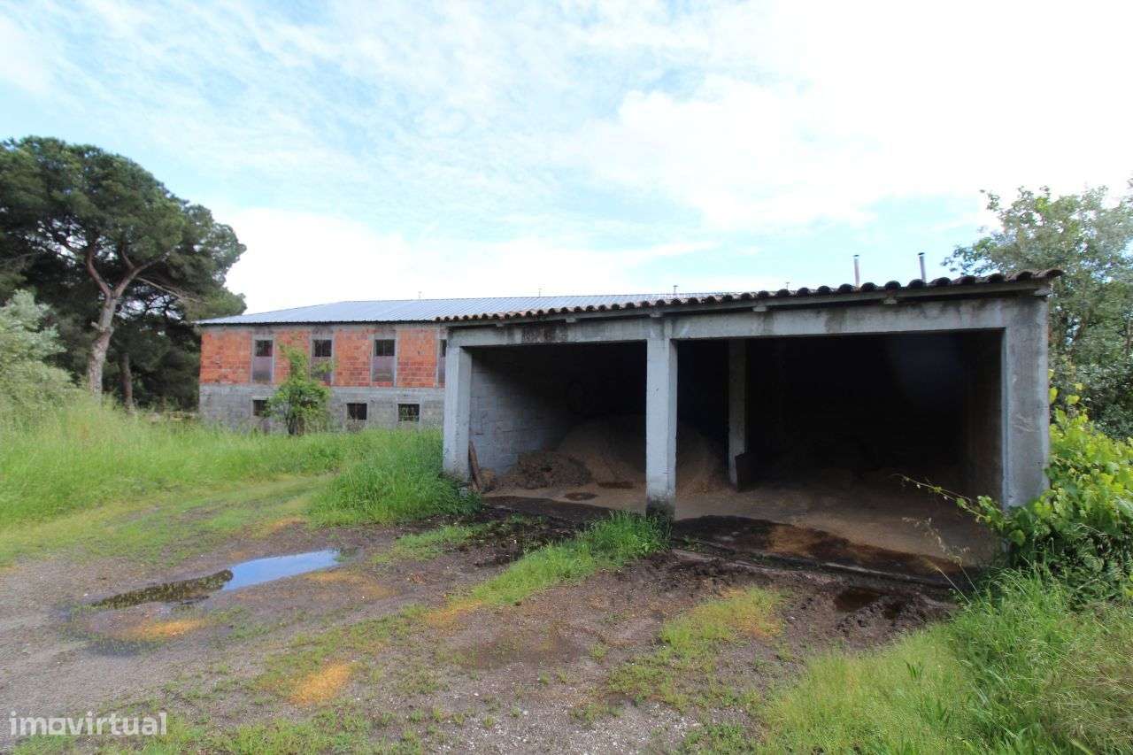 Aviário em Pleno Funcionamento - Grande imagem: 5/27