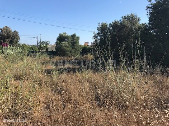 TERRENO RÚSTICO SITUADO EM ALCANTARILHA GARE ALGARVE FREGUESIA DE SILV