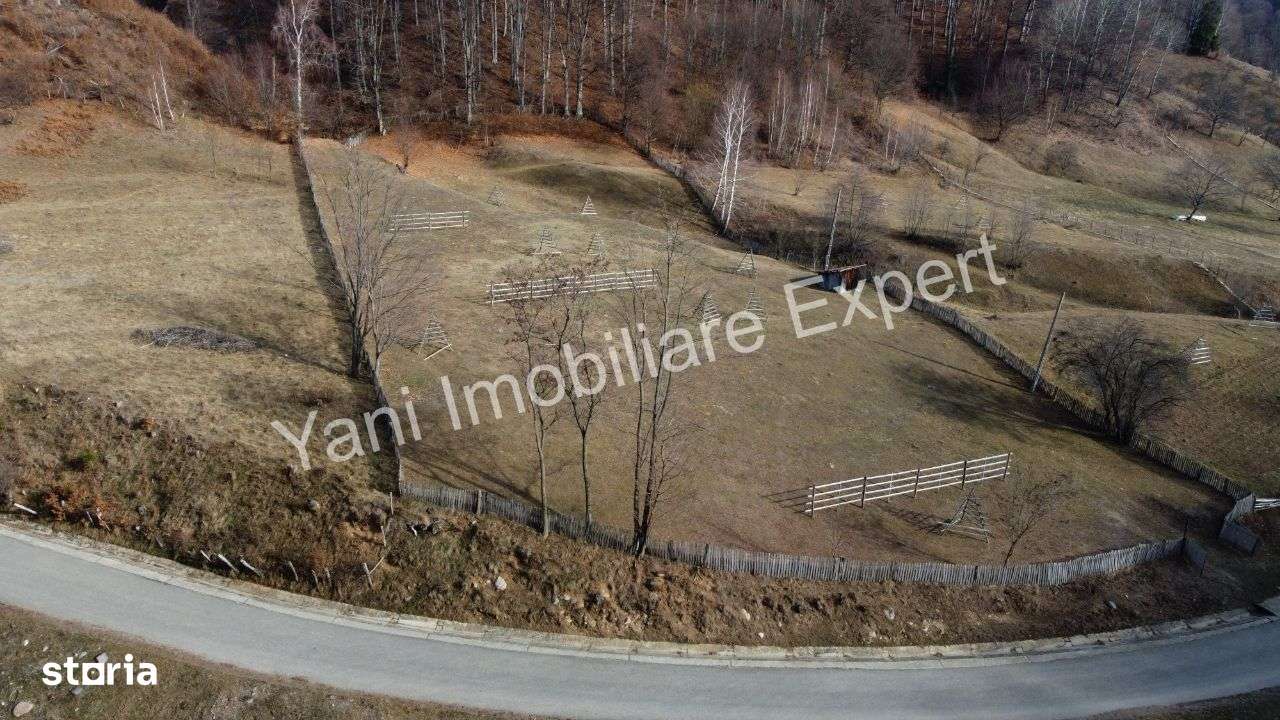Teren de vânzare în comuna Cicănești, Județ Argeș ( 4681 mp ) - Imagine principală: 2/20
