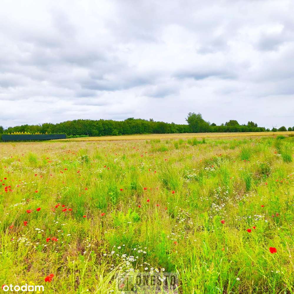 Działka budowlana MN 18,55a, Tomaszowice