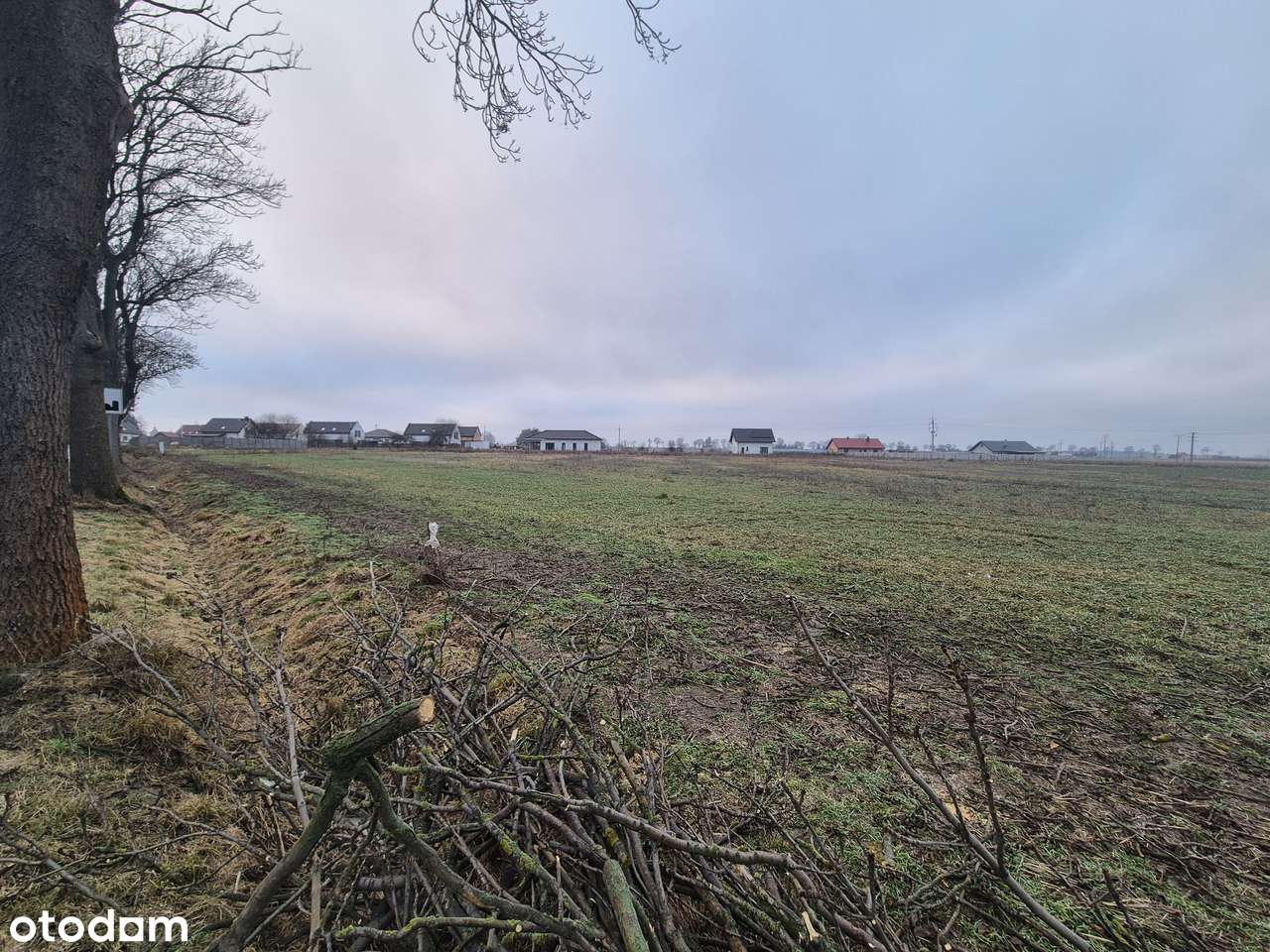 8 działek budowlanych – Gołaszyn , gmina Bojanowo , powiat rawicki - Pełny obrazek: 4/6