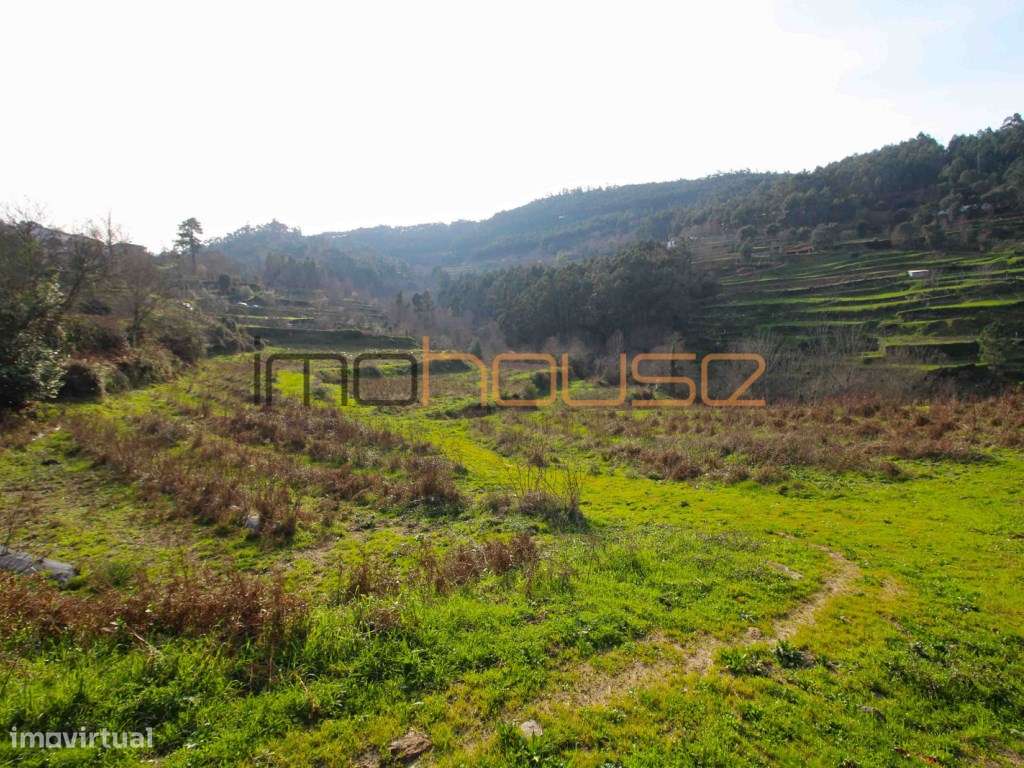 Quinta de 5.6 ha - Varias edificações, ribeiro e vista Douro-15