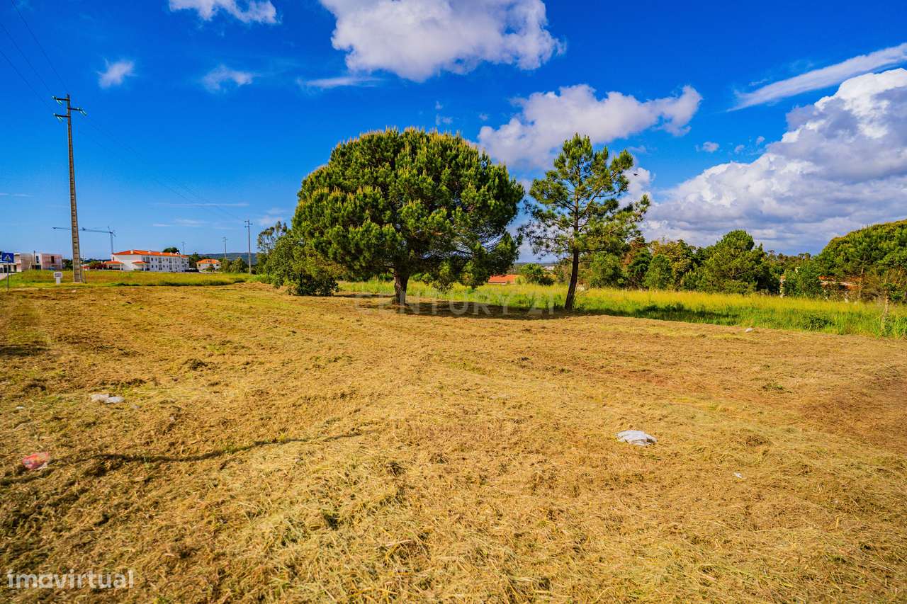 Terreno no Nadadouro-28